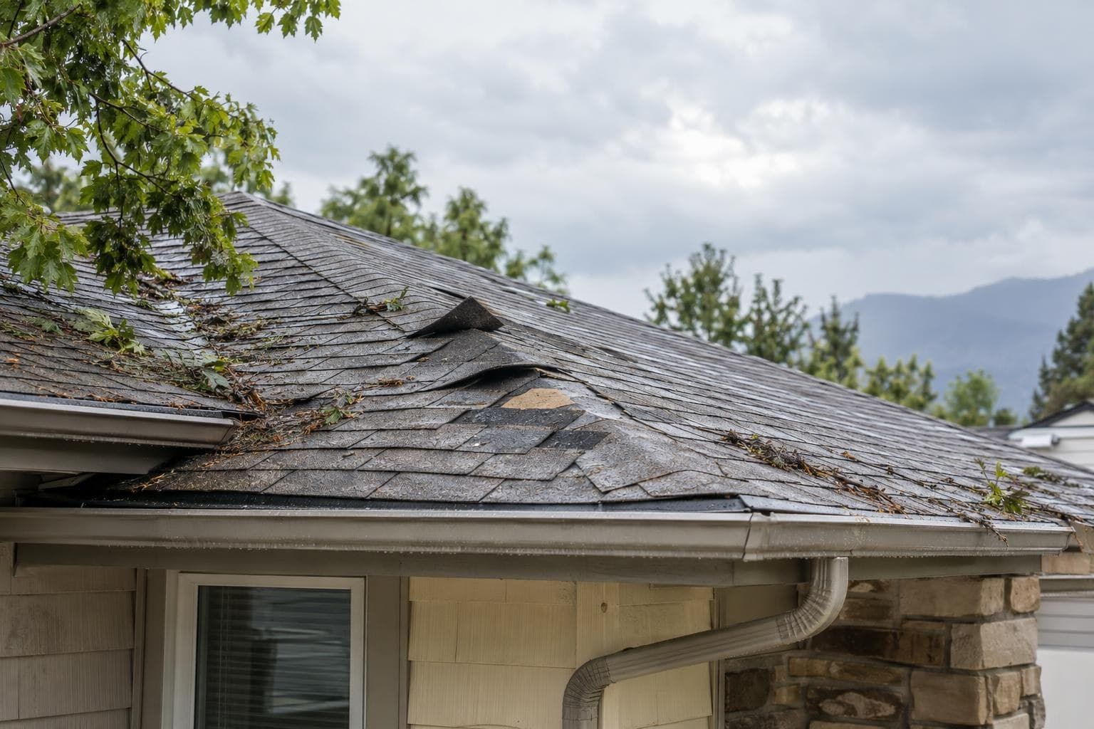 Storm Damage Roof Colorado: What to Do in the First 48 Hours
