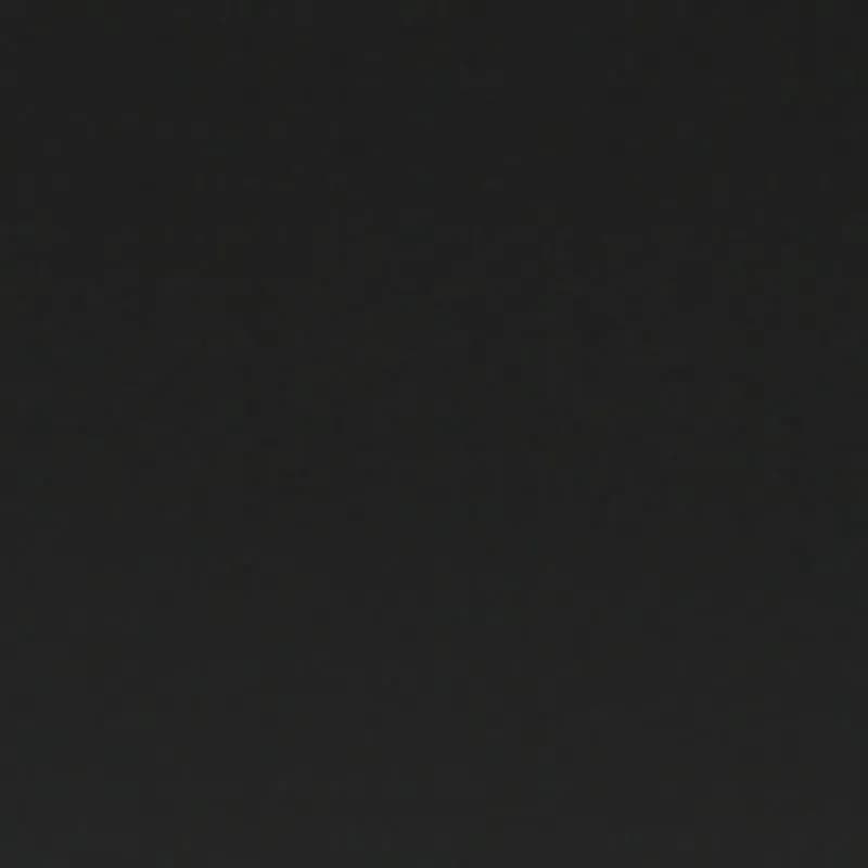 Black roofing color swatch