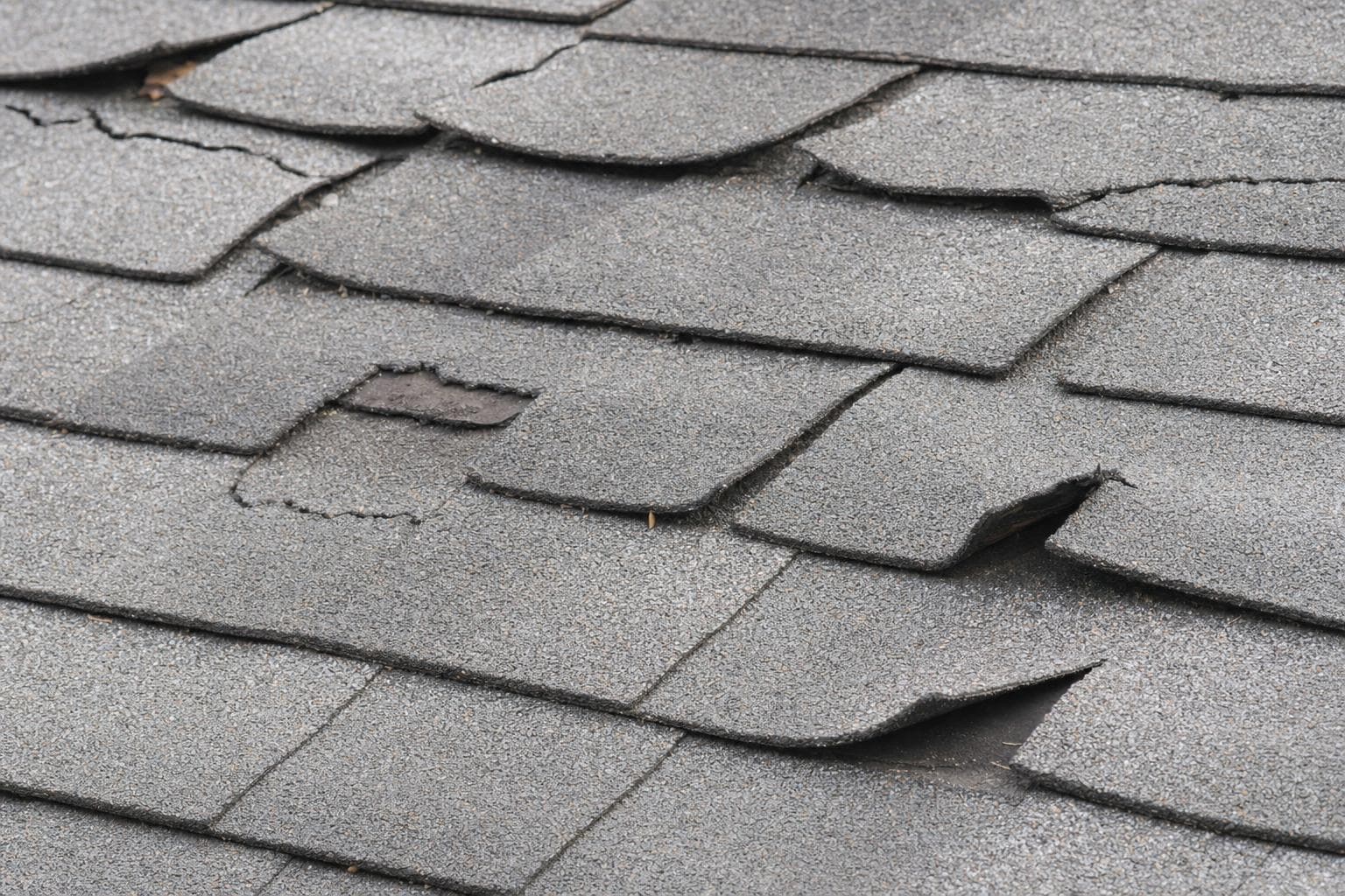 Brittle, cracked, lifted, or detached covering across multiple roof areas