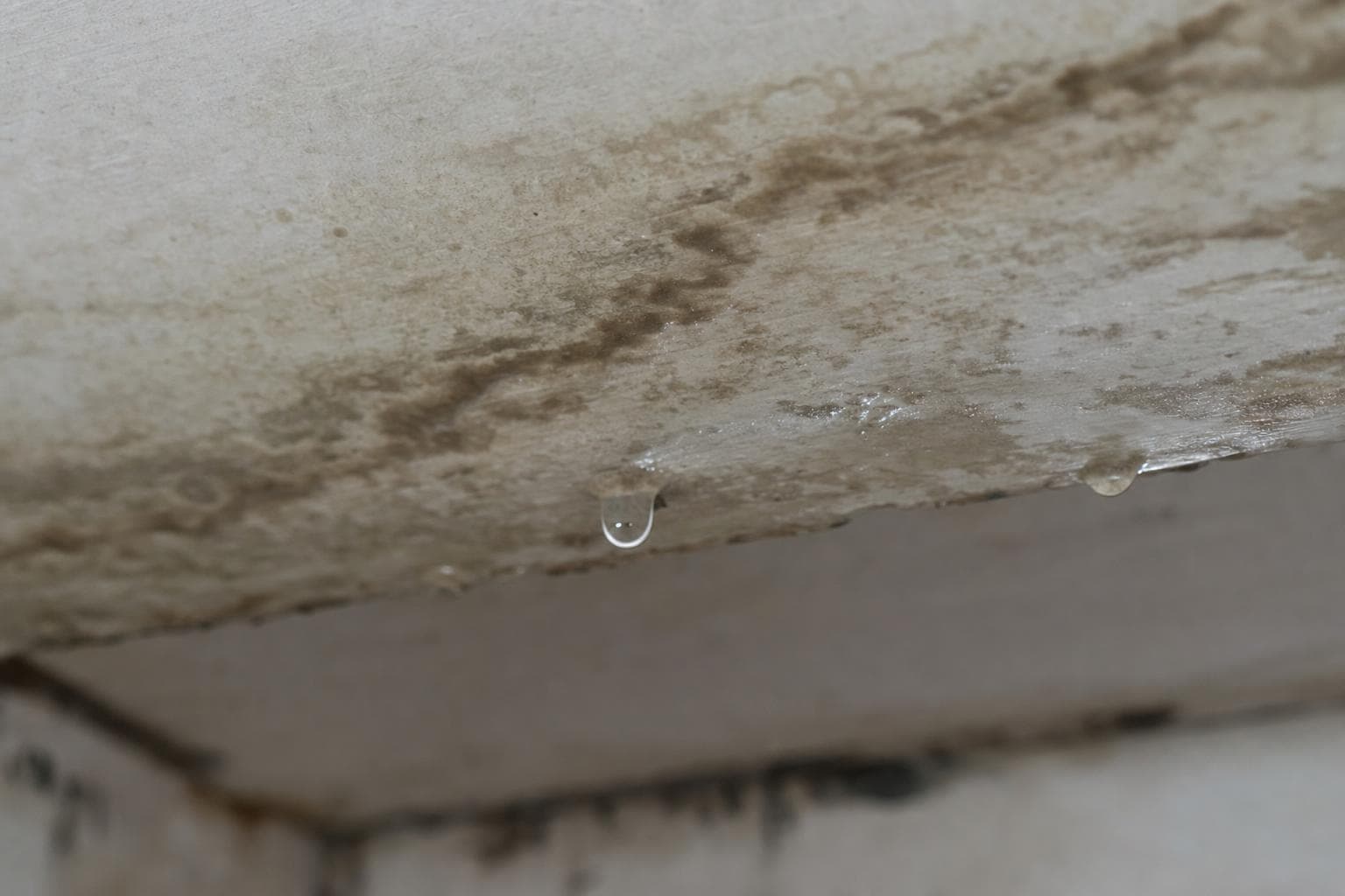 Recurring leak paths connected to different roof details